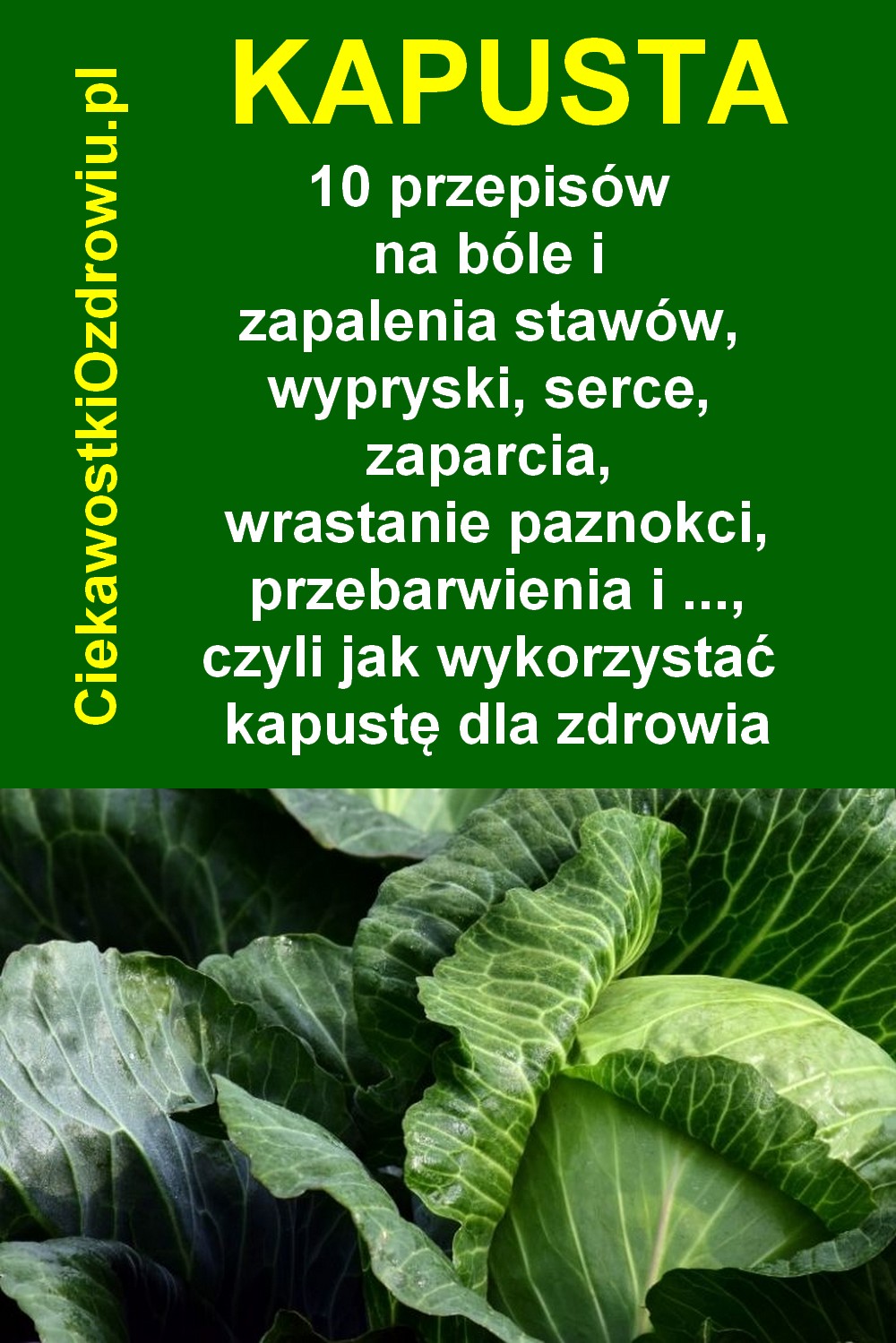 CiekawostkiOzdrowiu.pl-kapusta-10-przepisow-domowe-sposoby